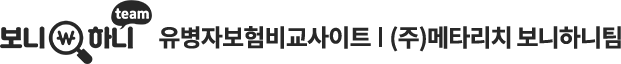 유병자보험 보니하니