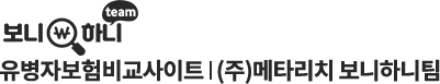 유병자보험 보니하니